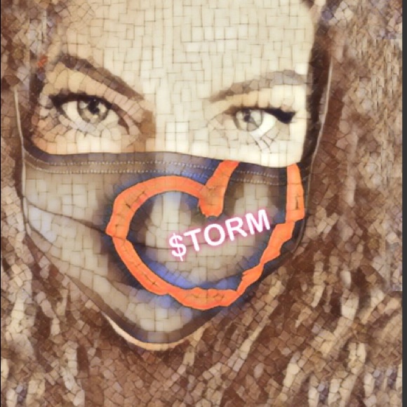 stormvocals